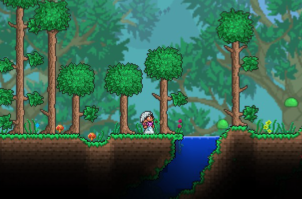 terraria_forest_biome